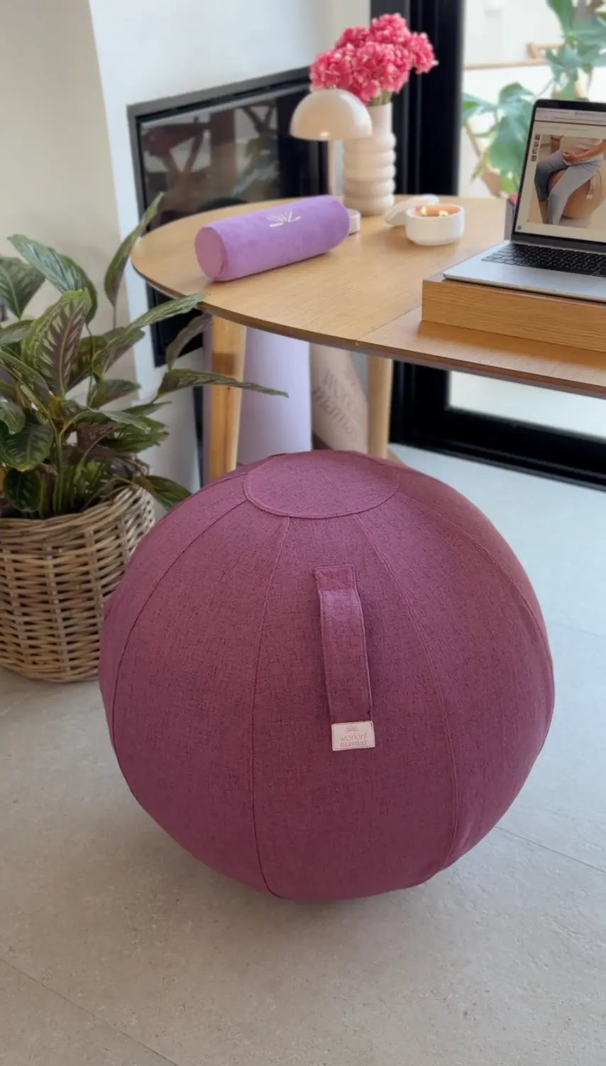 Vital Balance Cover — Funda para pelota de 65 cm