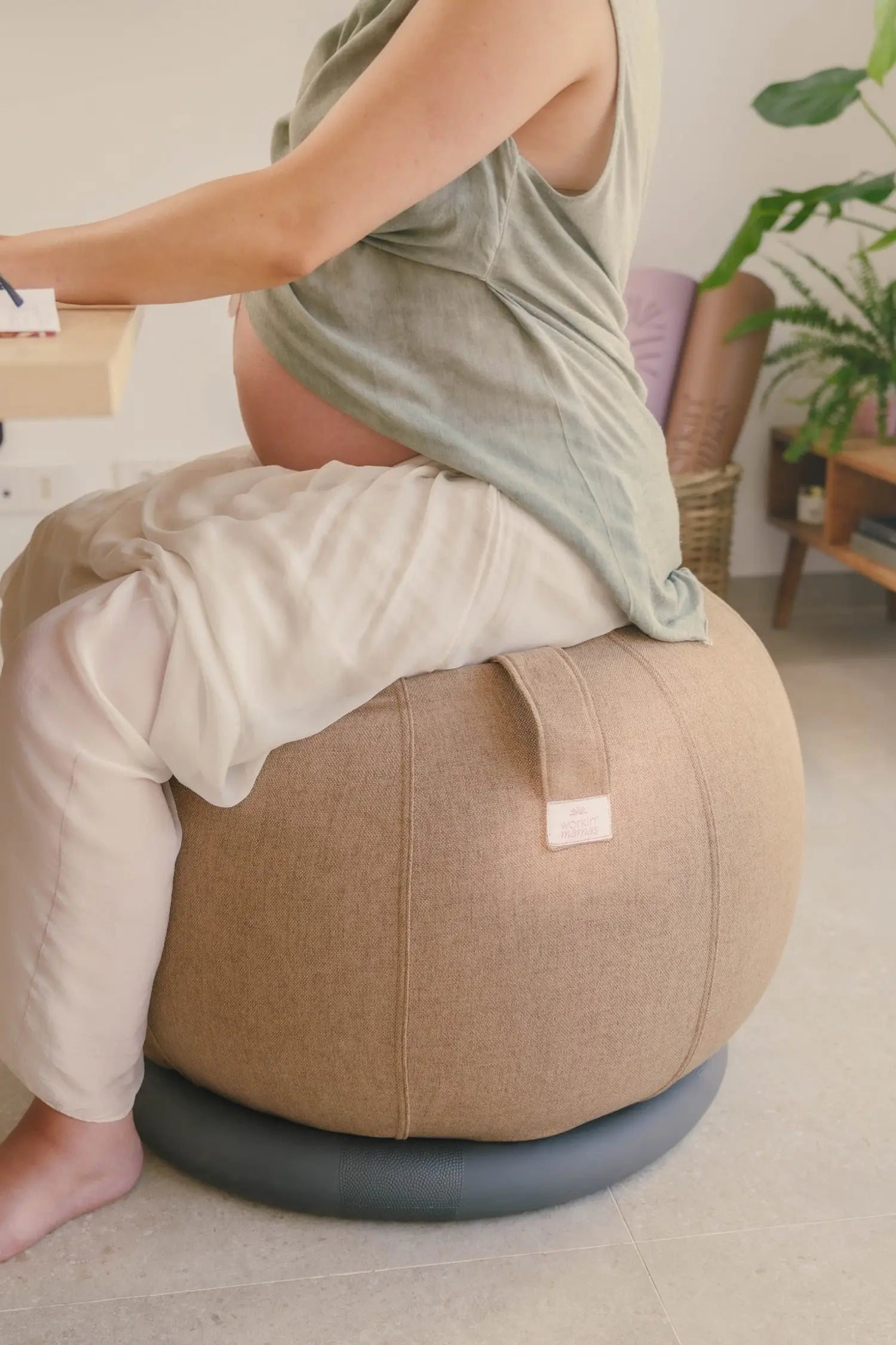 Anillo Estabilizador - Base de Estabilidad