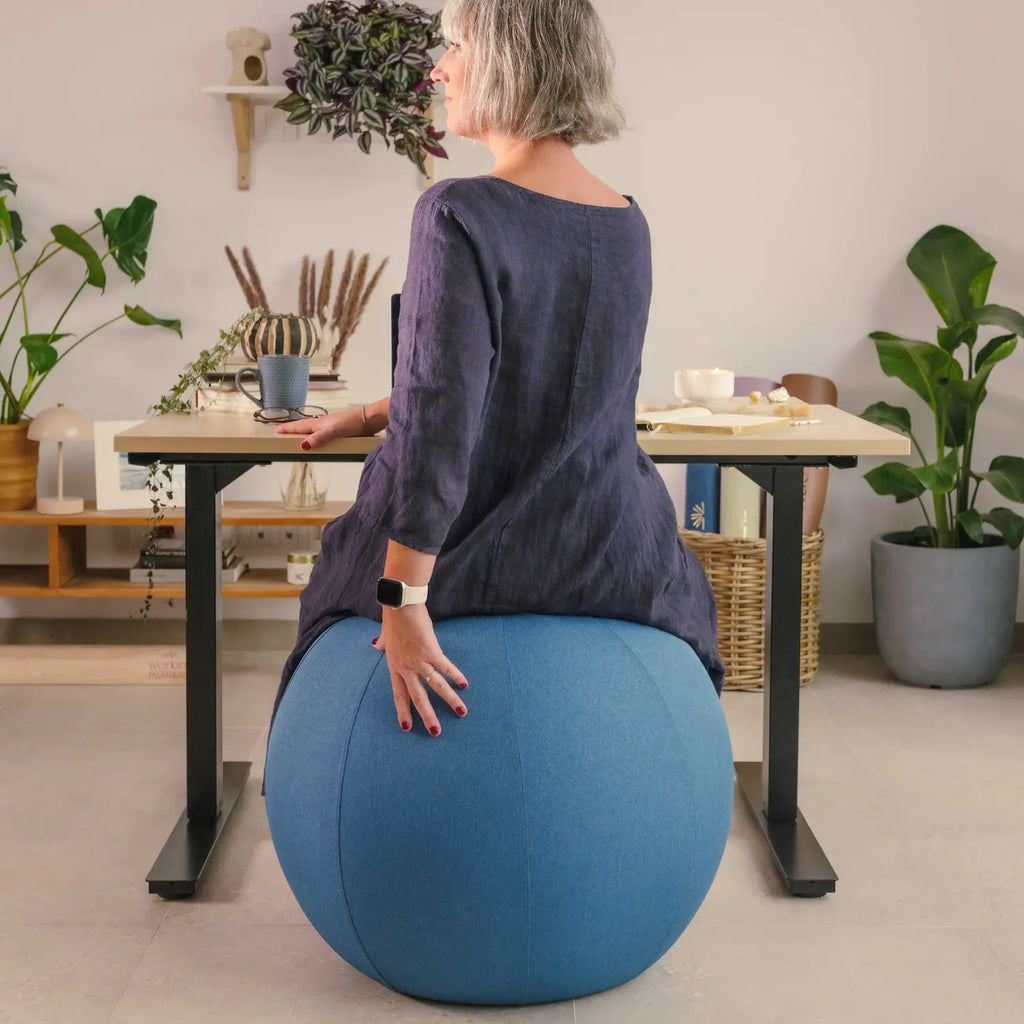 Vital Balance Cover — Funda para pelota de 65 cm